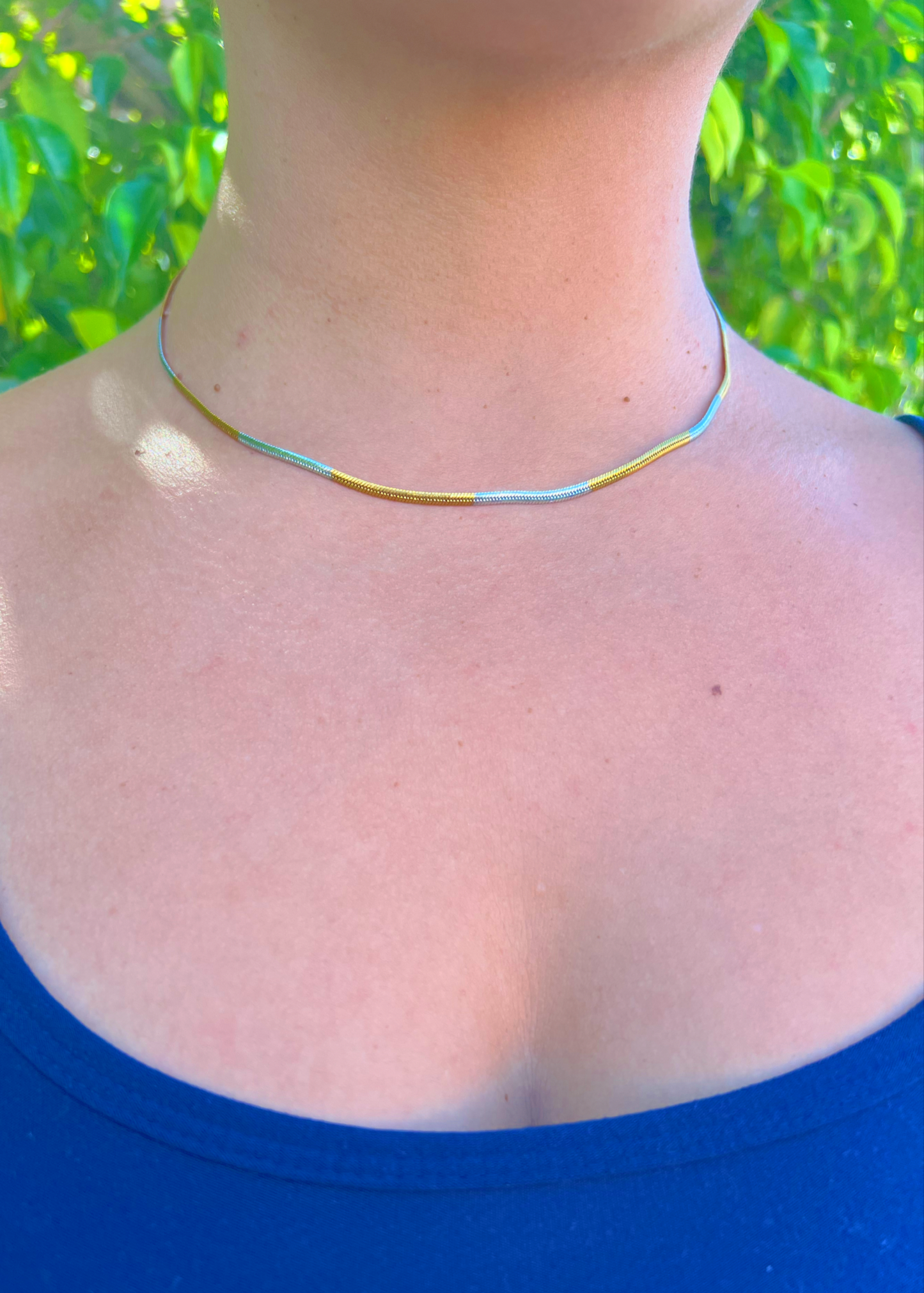 Silver and Gold Snake Necklace
