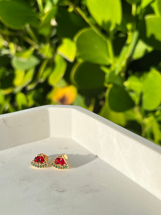 Watermelon Earrings